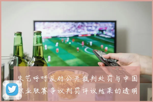 朱艺呼吁反对公开裁判处罚与中国职业联赛争议判罚评议结果的透明化探讨